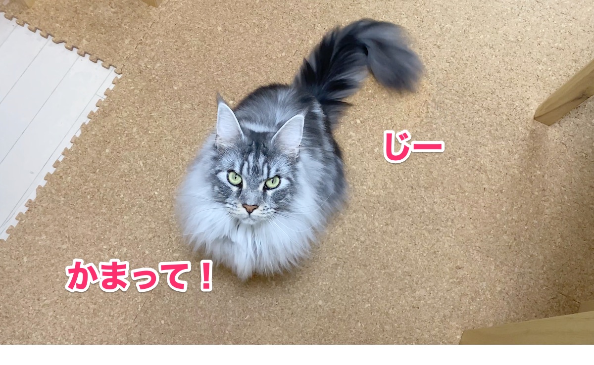 f:id:chikojirou:20200708212847j:plain