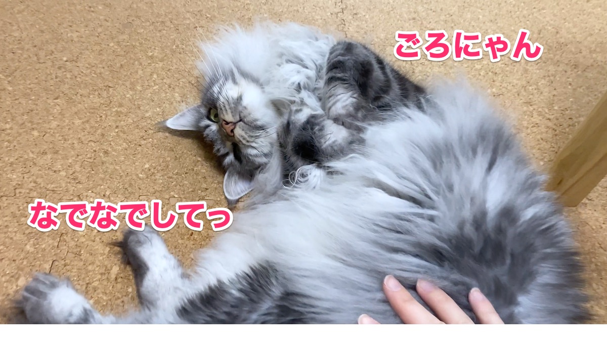 f:id:chikojirou:20200708212853j:plain