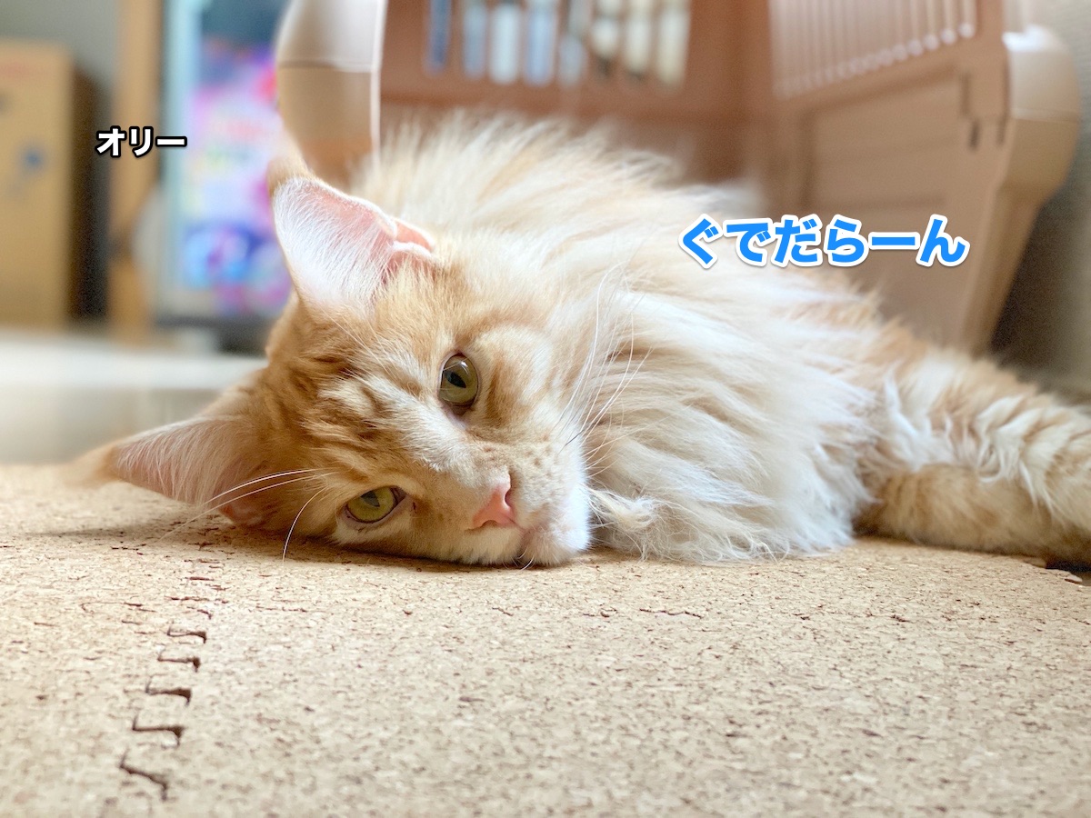 f:id:chikojirou:20200710215843j:plain