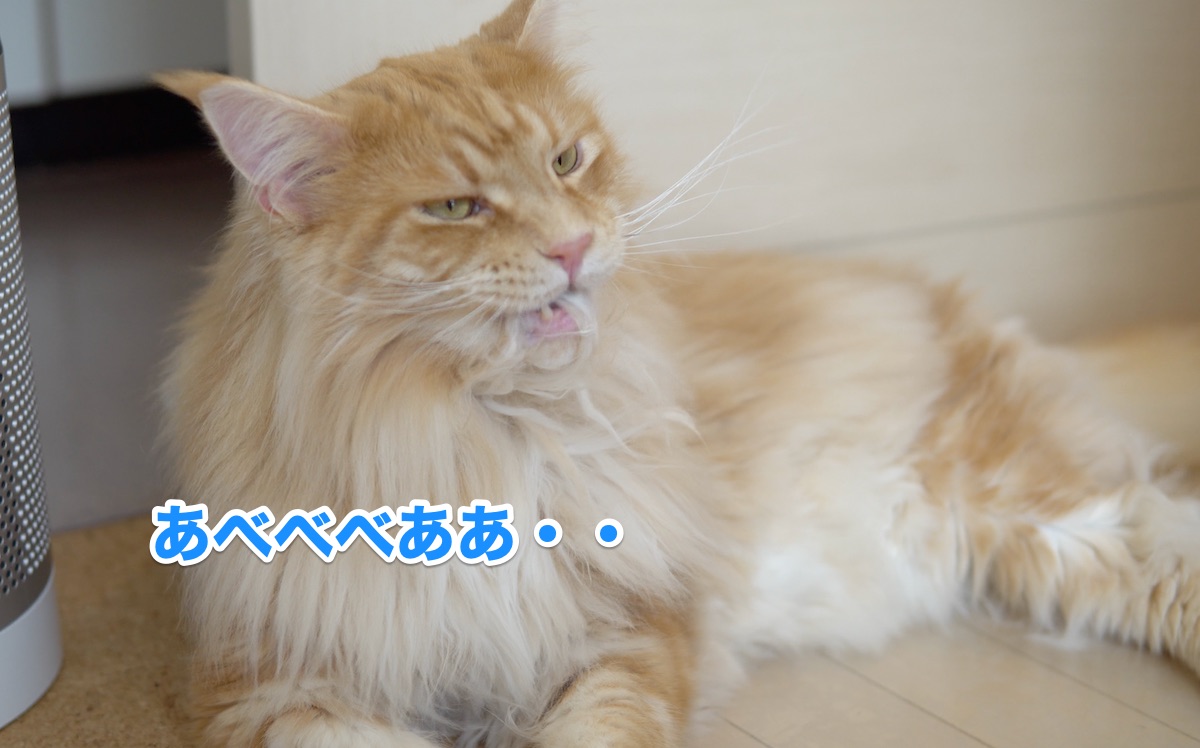 f:id:chikojirou:20200710215901j:plain