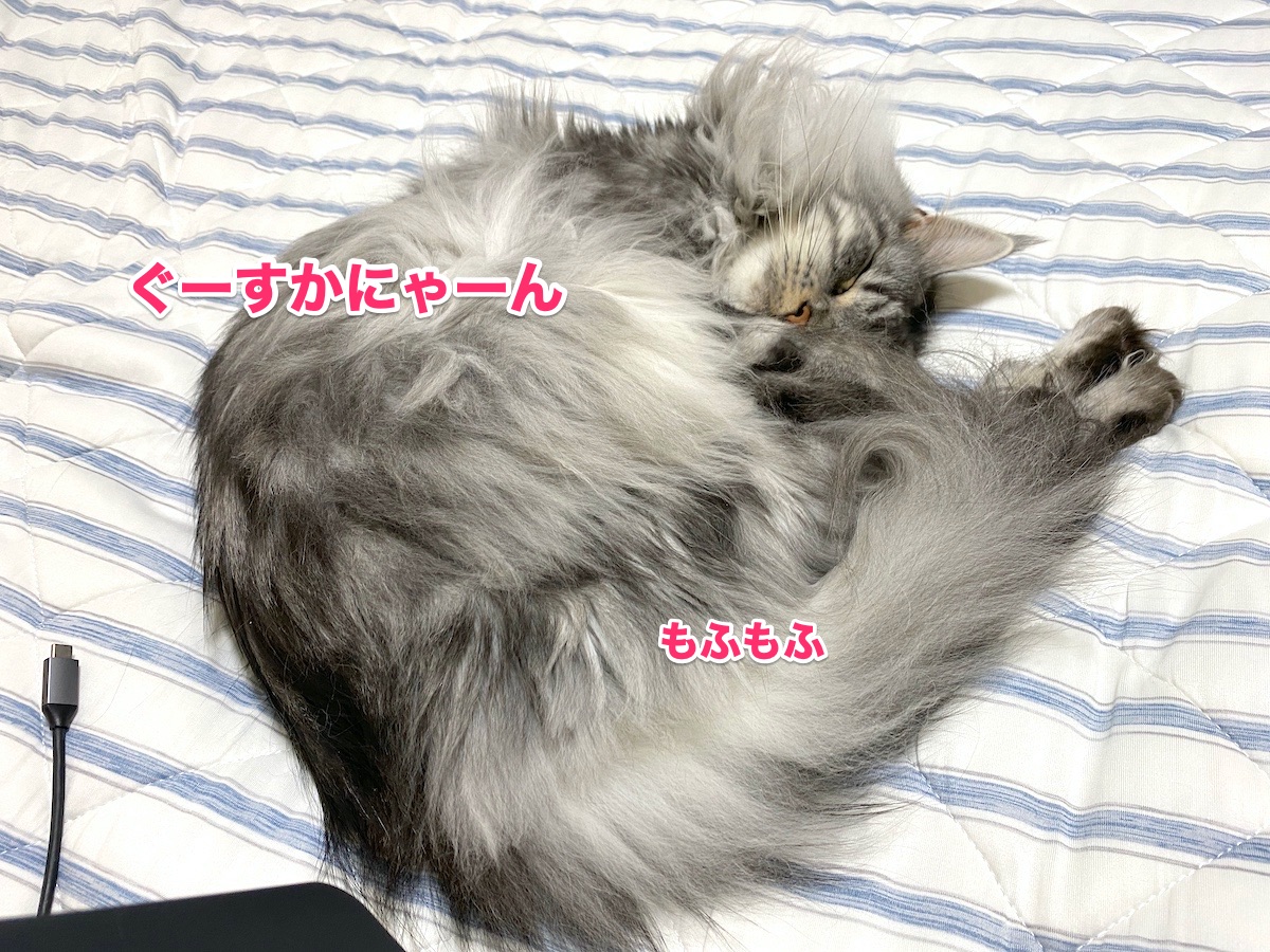 f:id:chikojirou:20200710215905j:plain