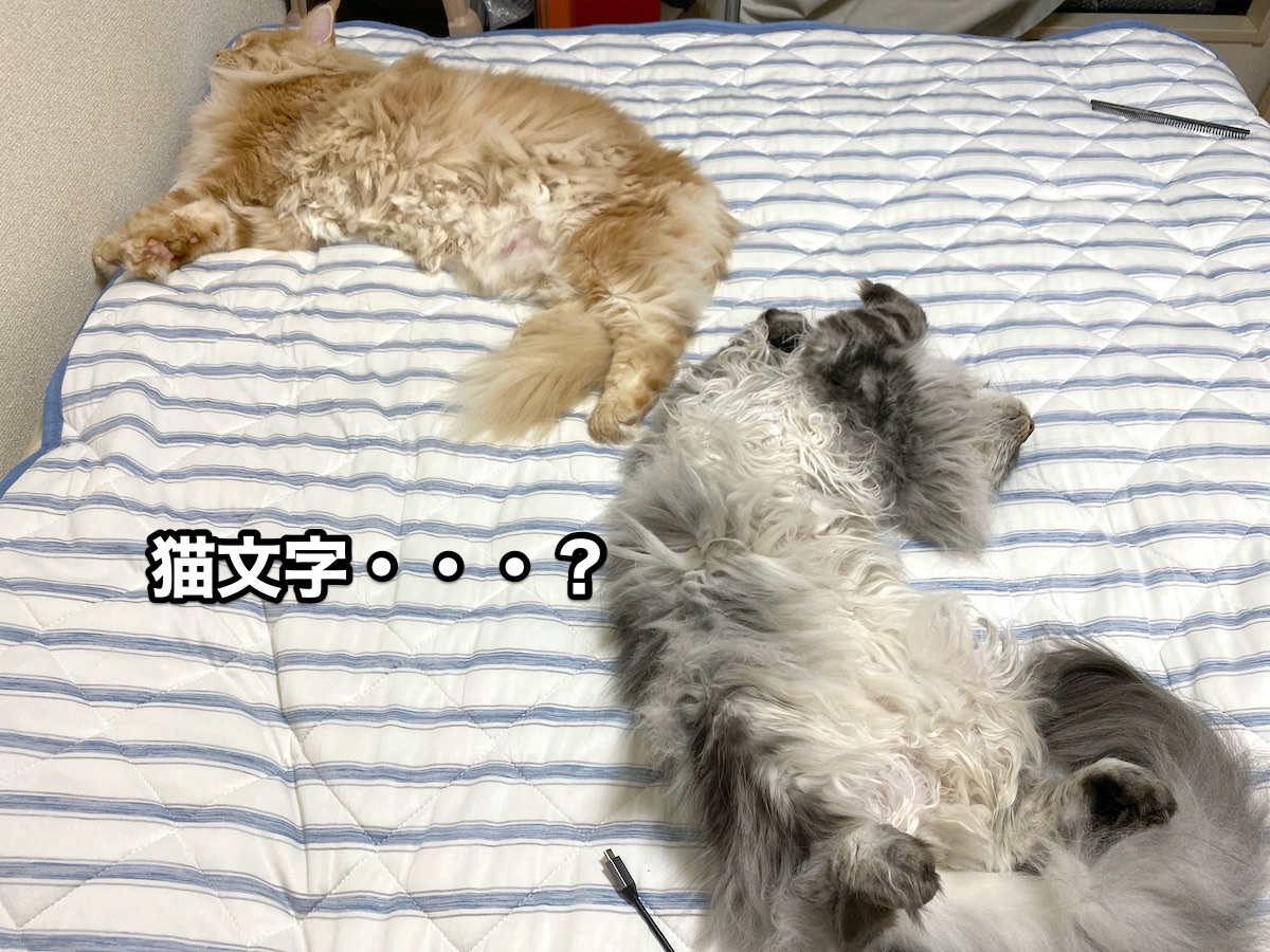 f:id:chikojirou:20200710215913j:plain