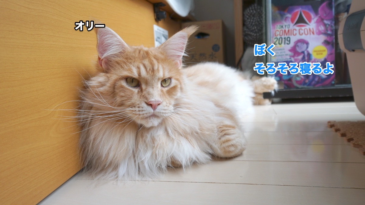 f:id:chikojirou:20200711223855j:plain f:id:chikojirou:20200711223855j:plain