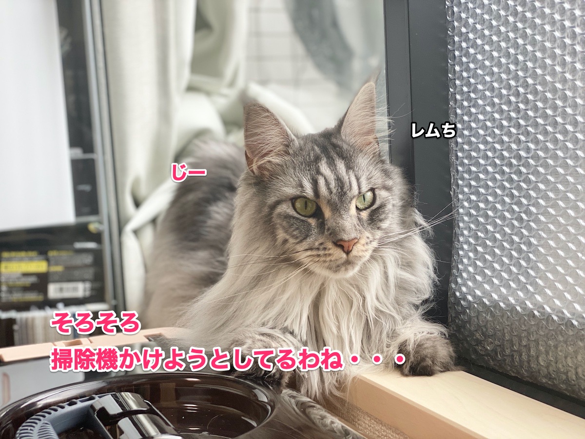 f:id:chikojirou:20200711223859j:plain f:id:chikojirou:20200711223859j:plain