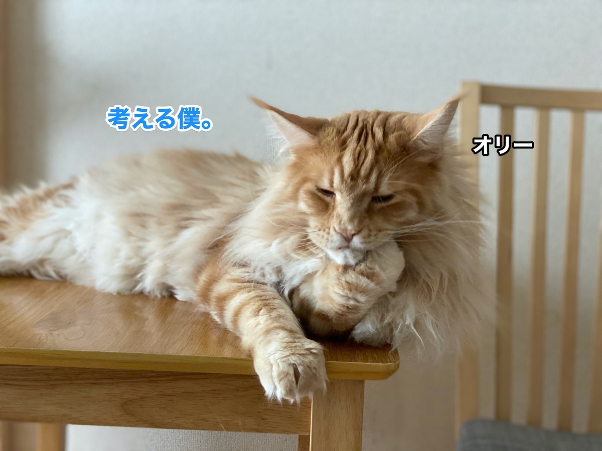 f:id:chikojirou:20200712205751j:plain