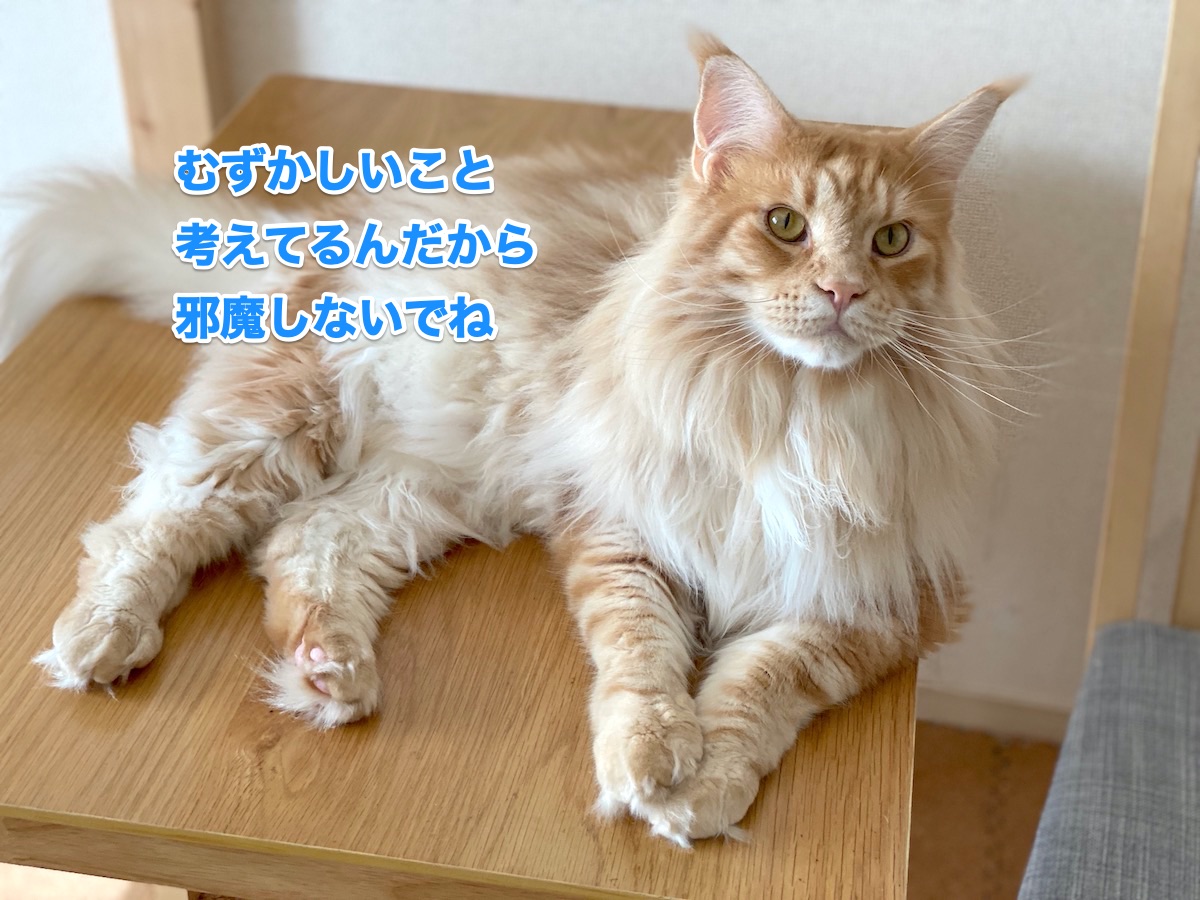 f:id:chikojirou:20200712205806j:plain