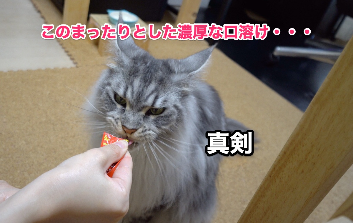 f:id:chikojirou:20200714165823j:plain