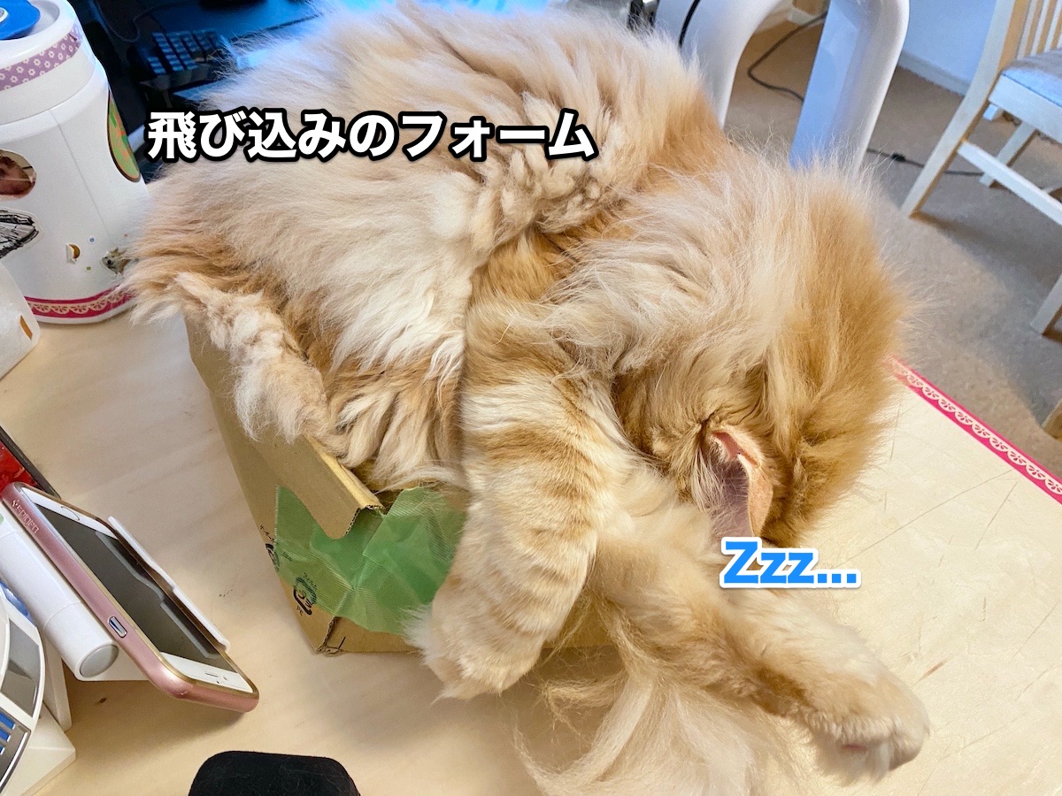 f:id:chikojirou:20200714165856j:plain
