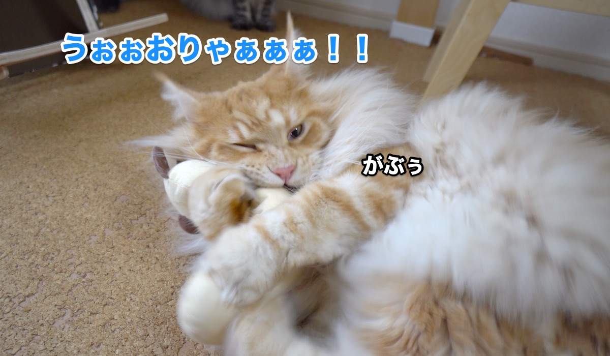 f:id:chikojirou:20200716204902j:plain
