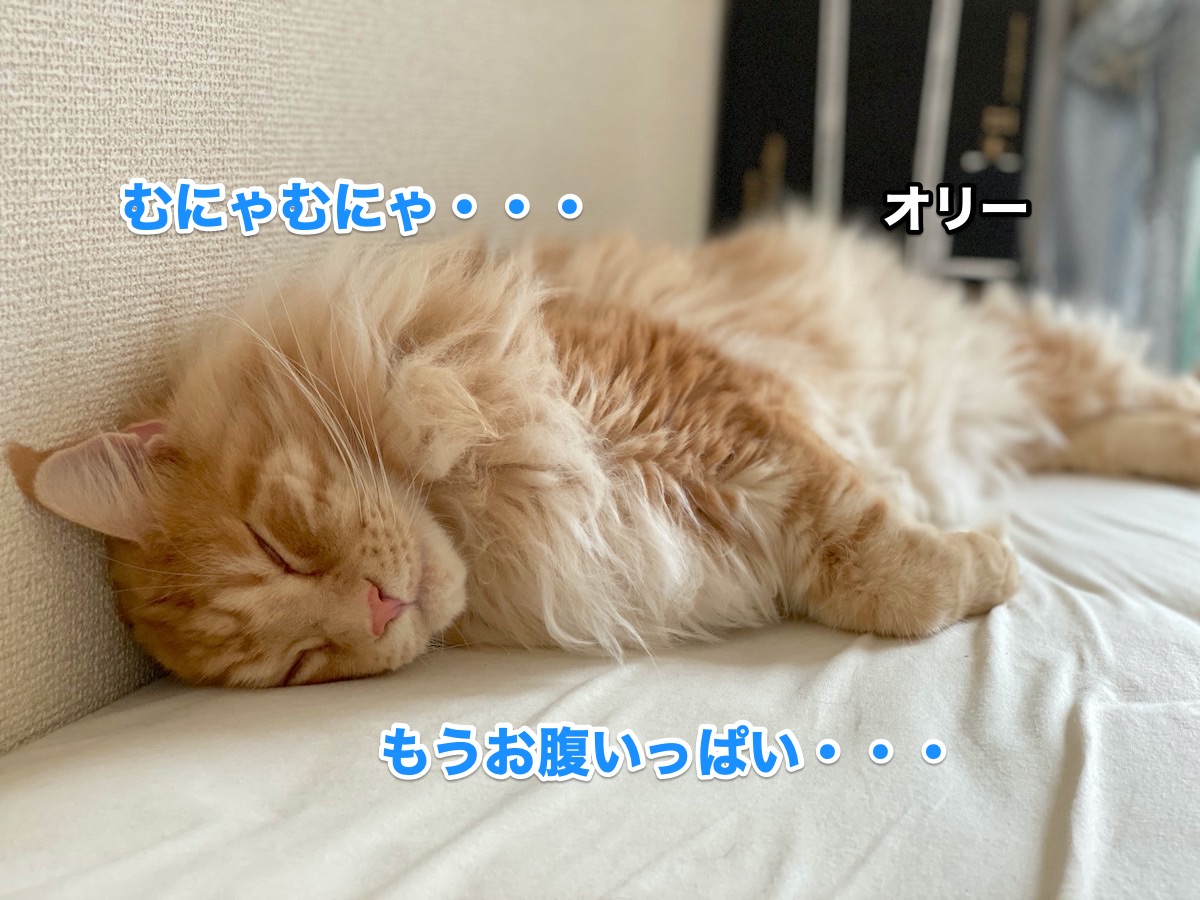 f:id:chikojirou:20200719194548j:plain