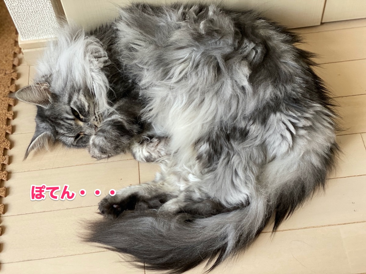 f:id:chikojirou:20200719194551j:plain