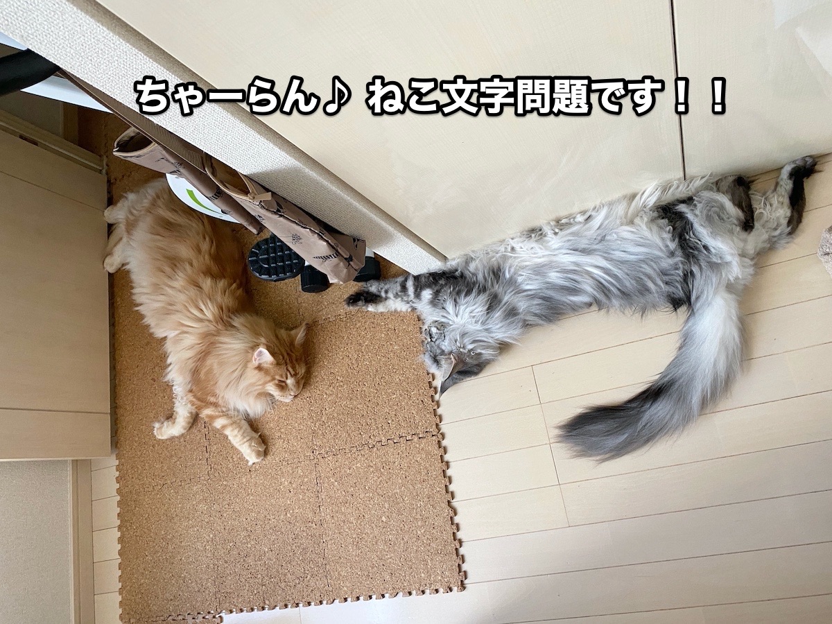 f:id:chikojirou:20200719194607j:plain