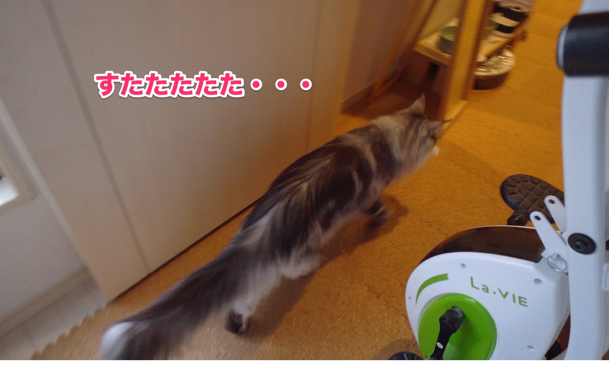 f:id:chikojirou:20200719194643j:plain