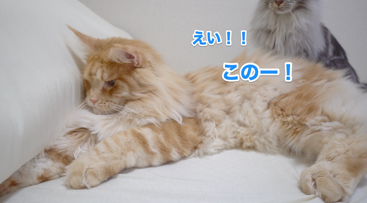 f:id:chikojirou:20200719194649j:plain