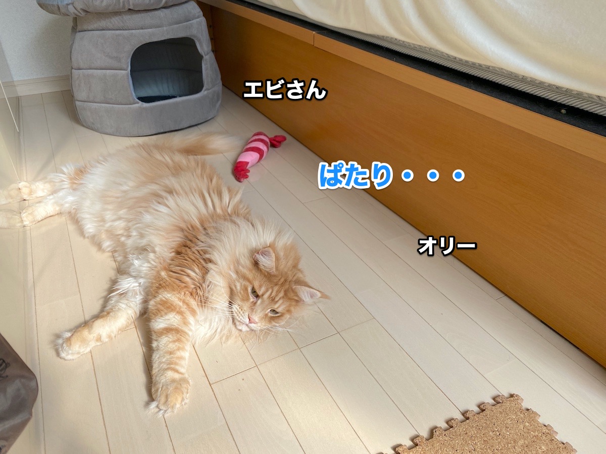 f:id:chikojirou:20200720205916j:plain