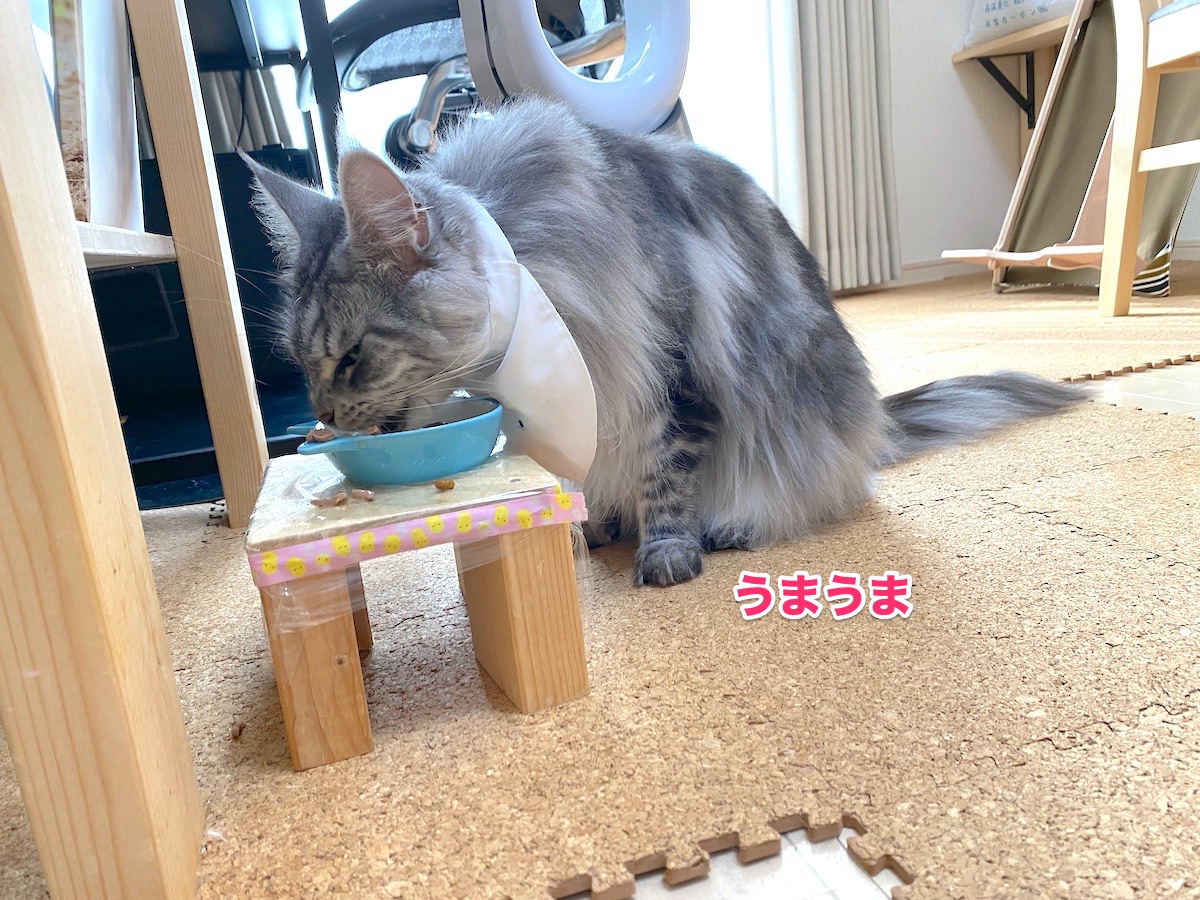 f:id:chikojirou:20200720205930j:plain