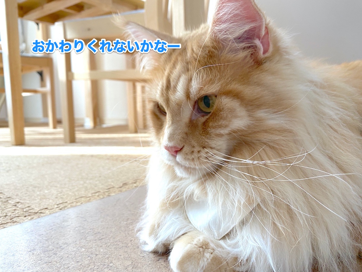f:id:chikojirou:20200720205941j:plain