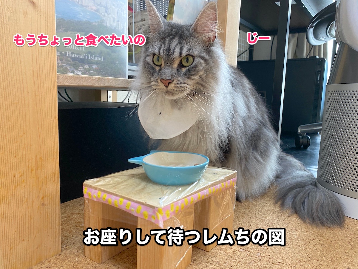 f:id:chikojirou:20200720205945j:plain