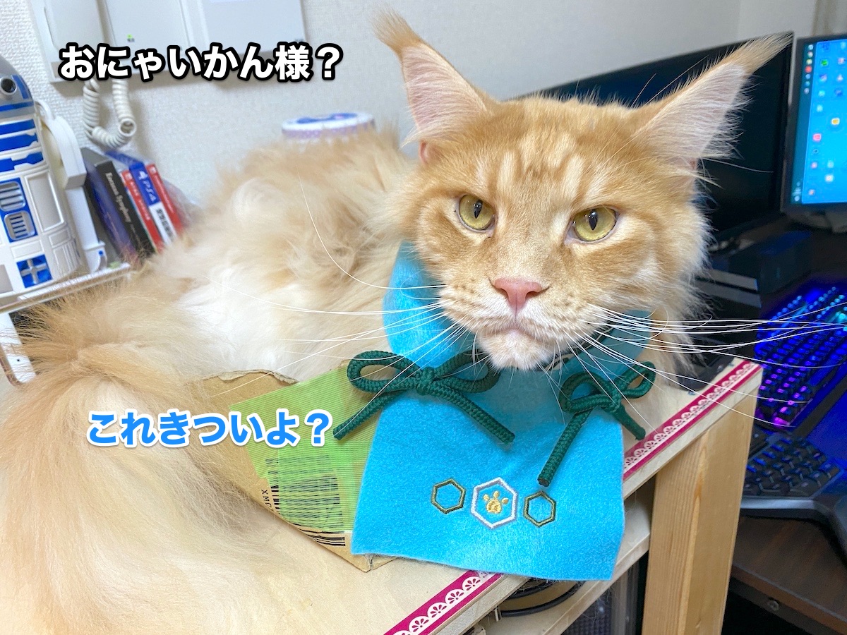 f:id:chikojirou:20200720205949j:plain