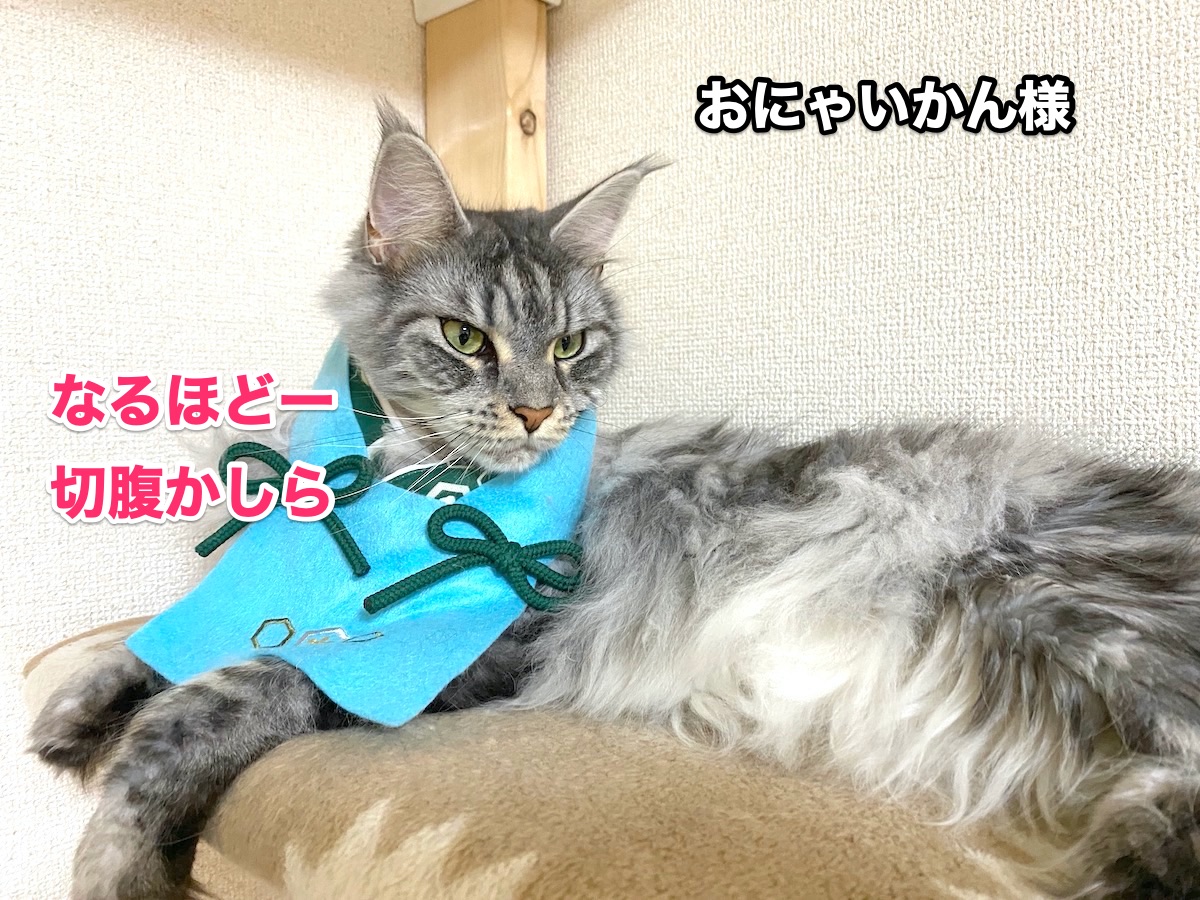 f:id:chikojirou:20200720212552j:plain
