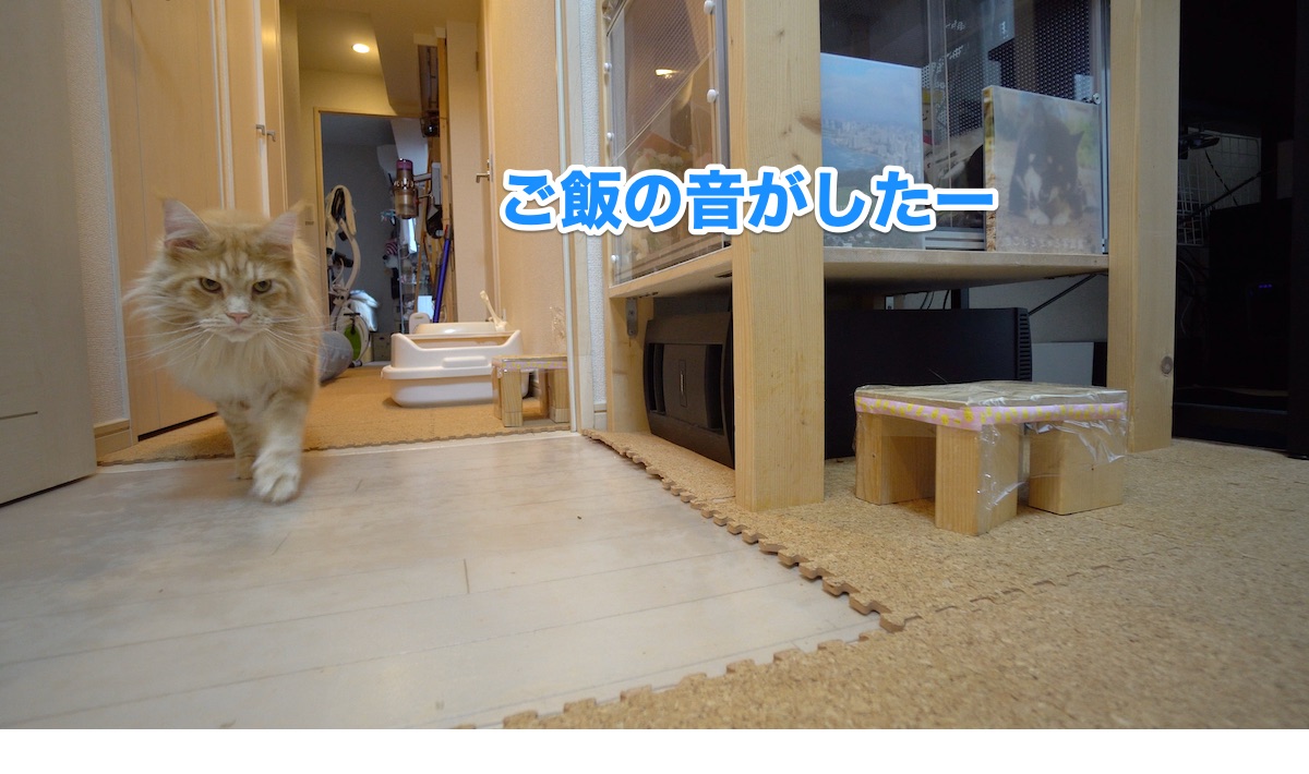 f:id:chikojirou:20200721211355j:plain