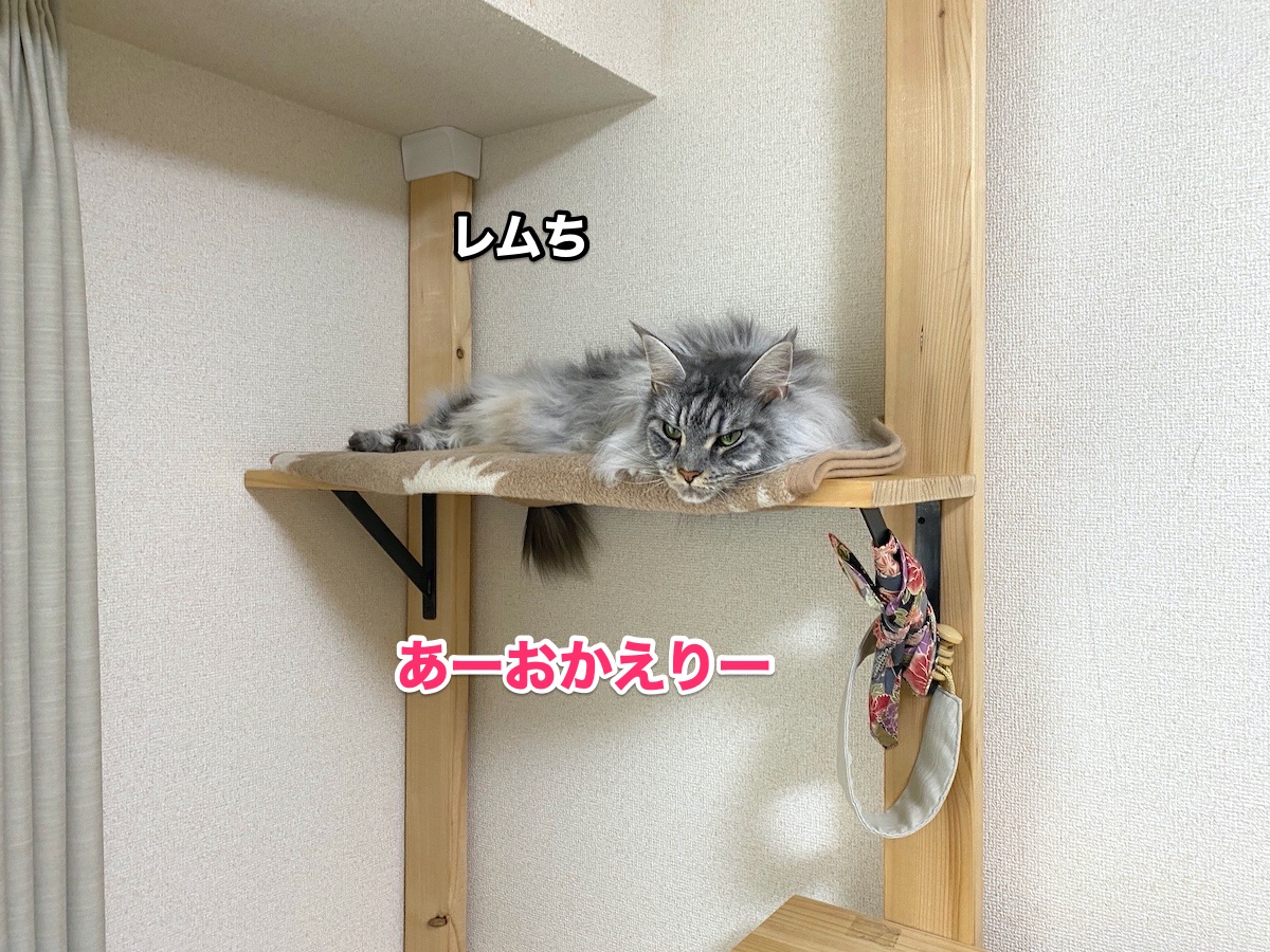 f:id:chikojirou:20200724193847j:plain