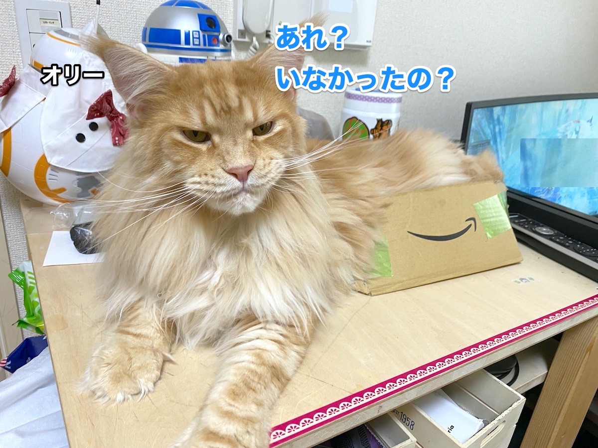 f:id:chikojirou:20200724193851j:plain