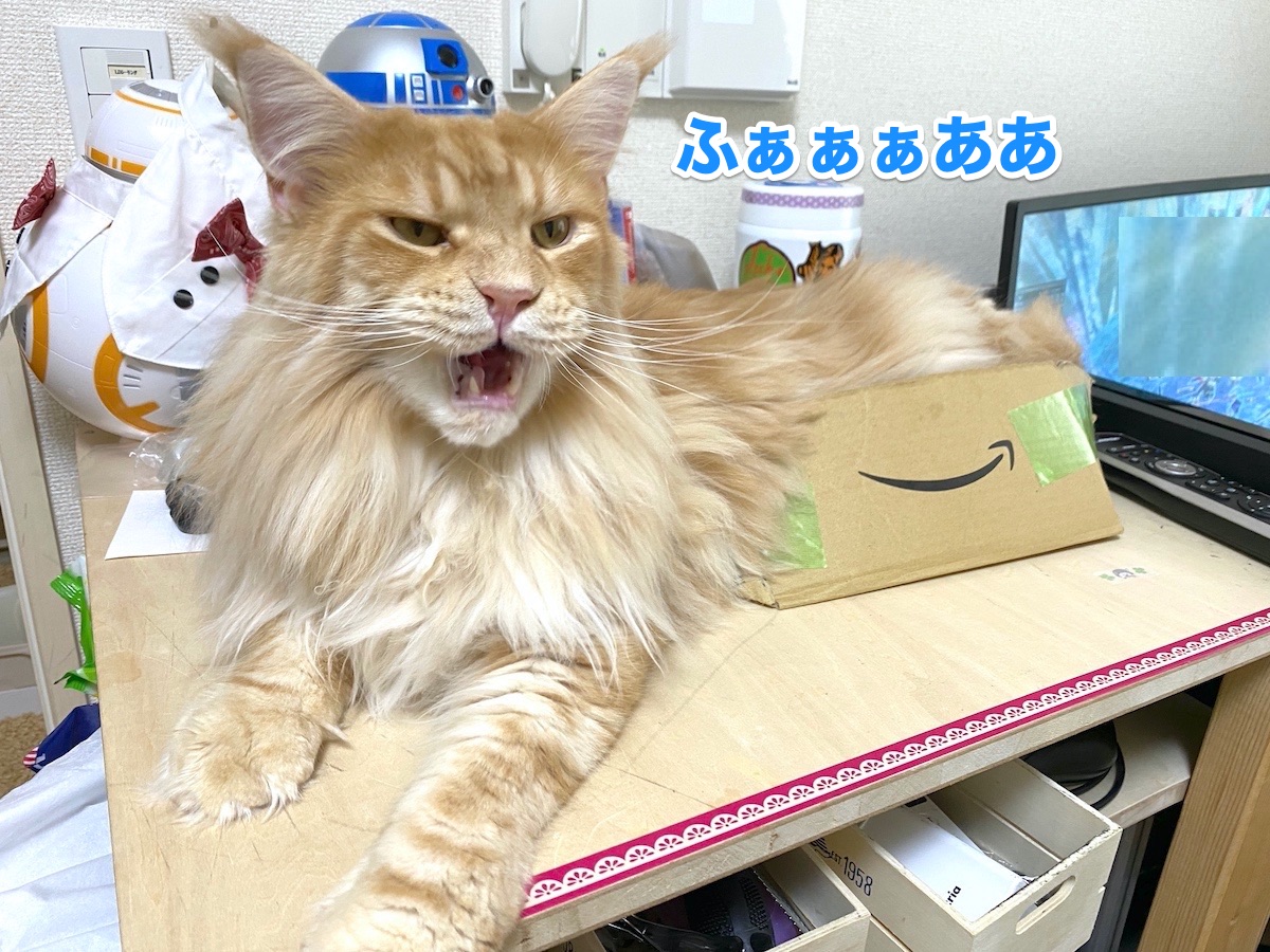 f:id:chikojirou:20200724193856j:plain