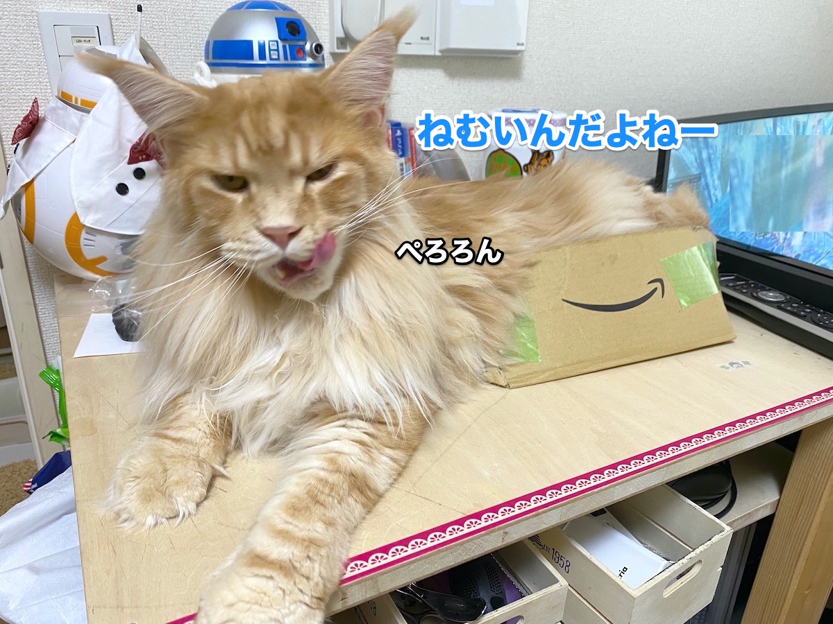 f:id:chikojirou:20200724193901j:plain