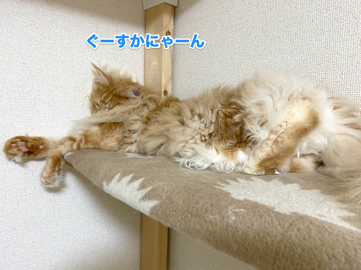 f:id:chikojirou:20200724193906j:plain