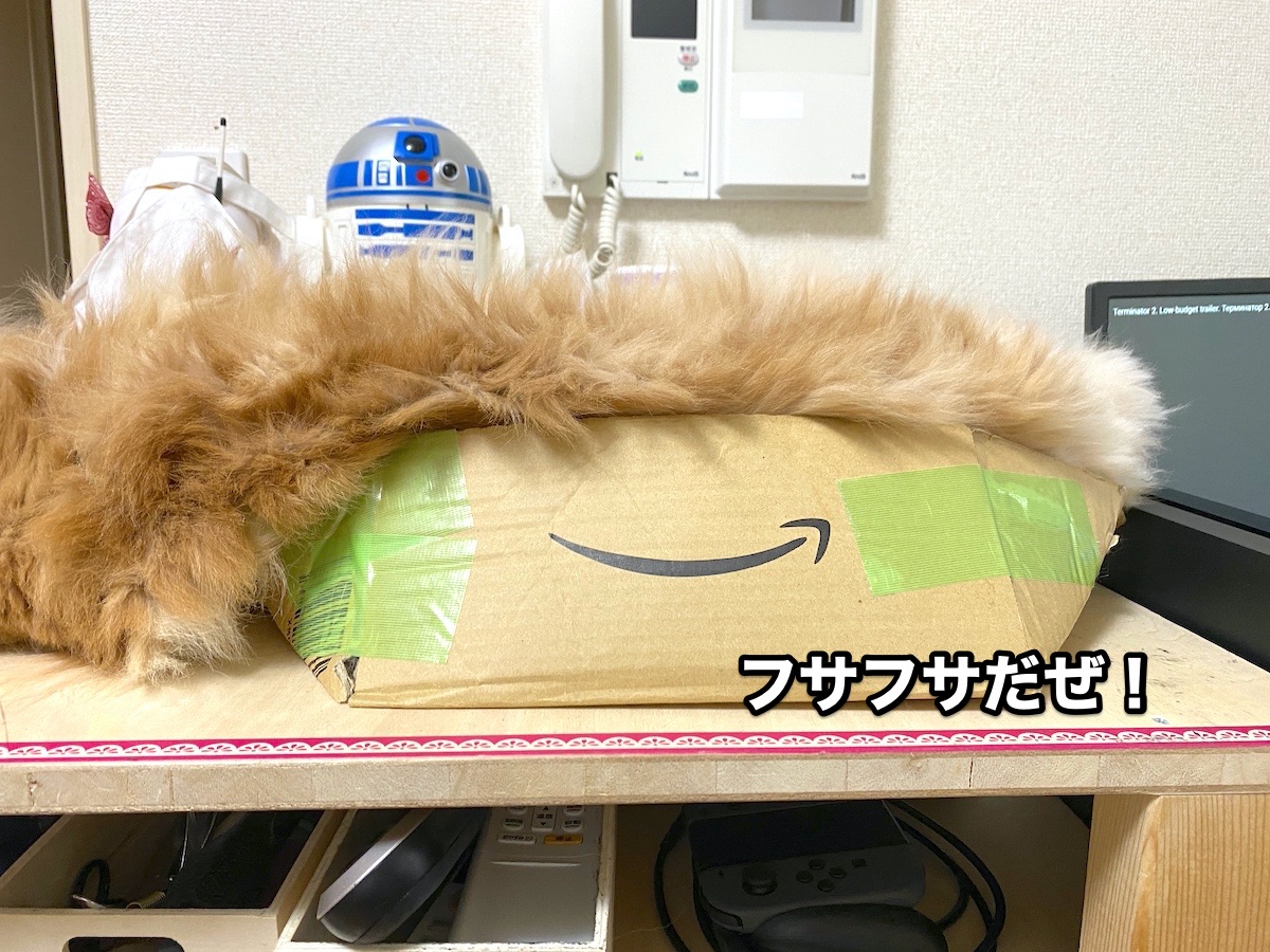 f:id:chikojirou:20200726165023j:plain