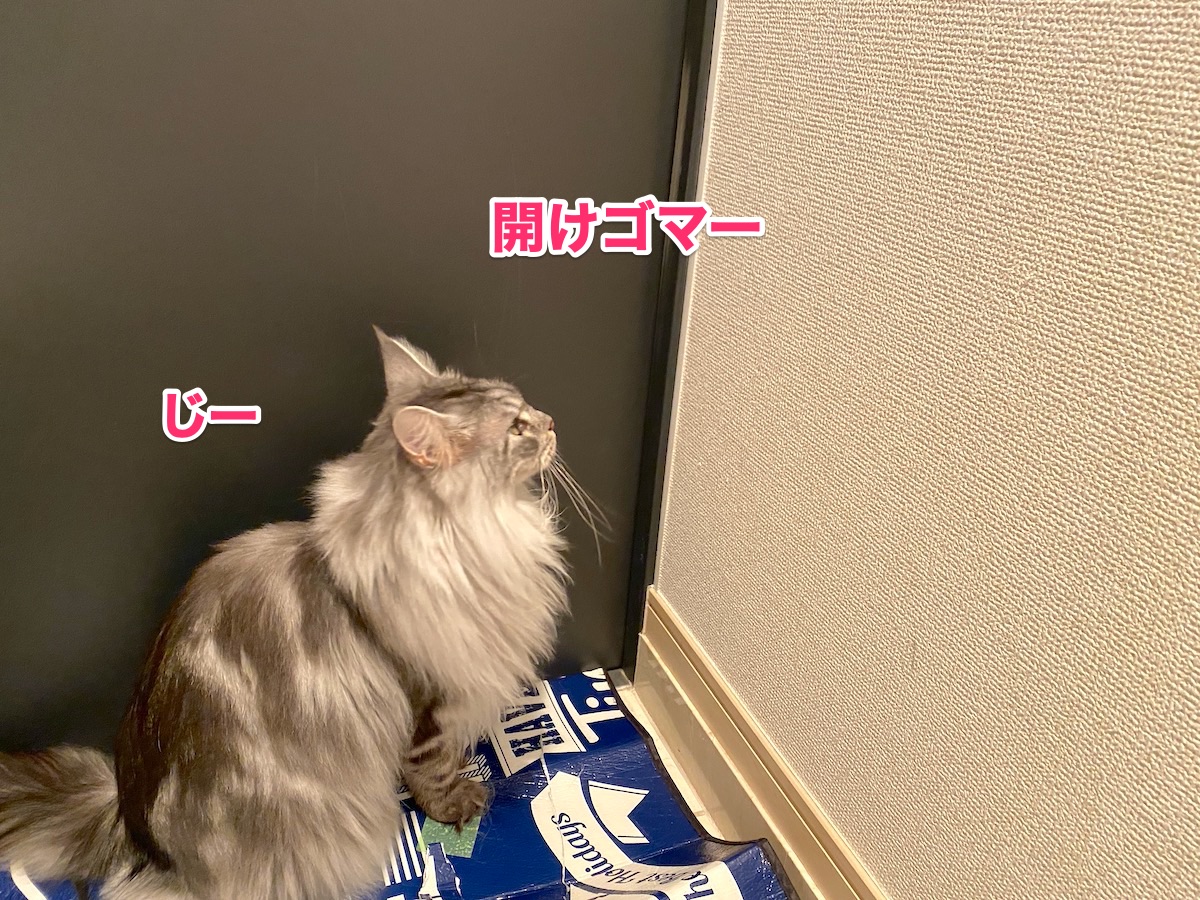 f:id:chikojirou:20200727203400j:plain