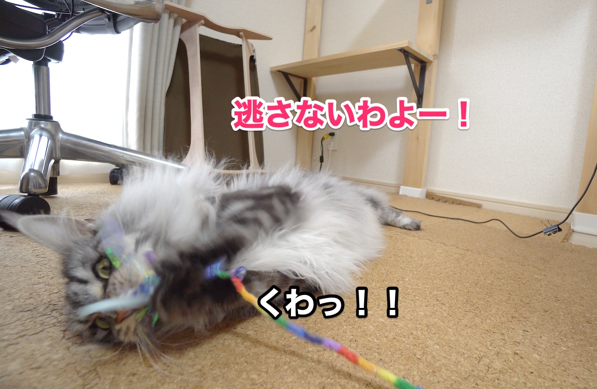 f:id:chikojirou:20200728200102j:plain f:id:chikojirou:20200728200102j:plain
