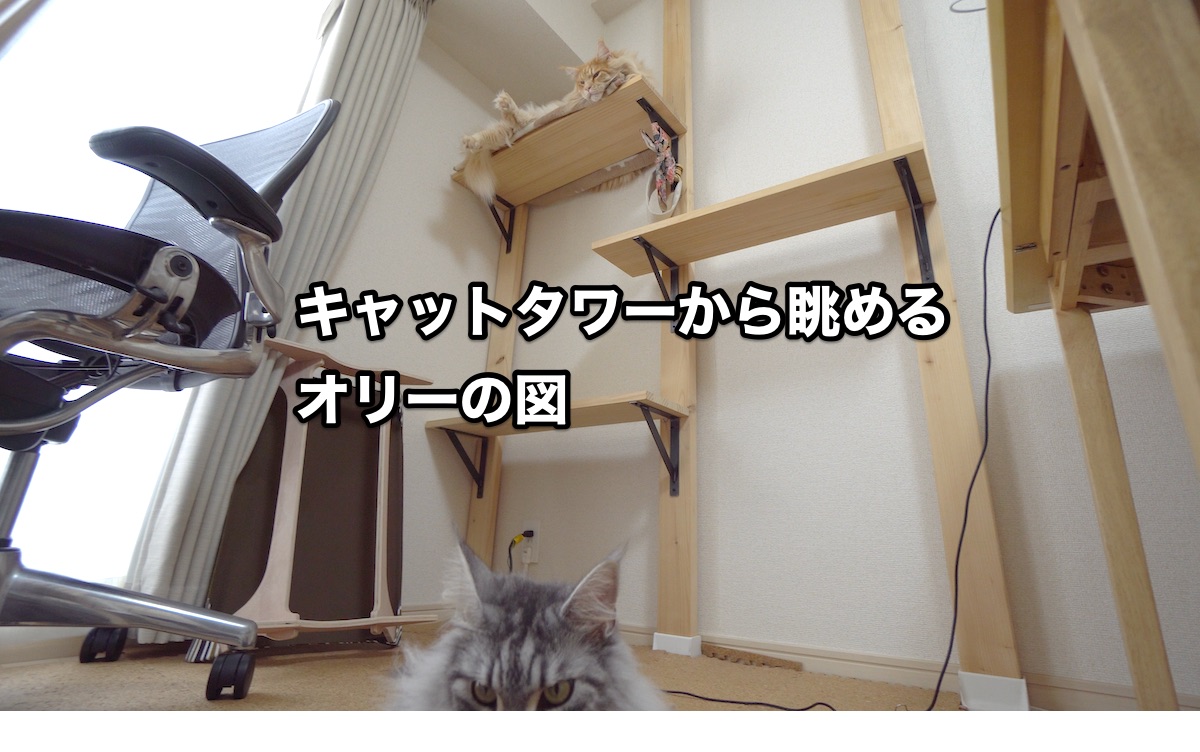 f:id:chikojirou:20200728200106j:plain f:id:chikojirou:20200728200106j:plain
