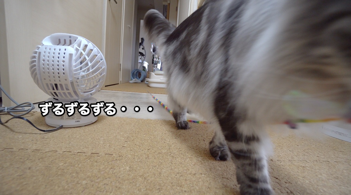 f:id:chikojirou:20200728200114j:plain f:id:chikojirou:20200728200114j:plain