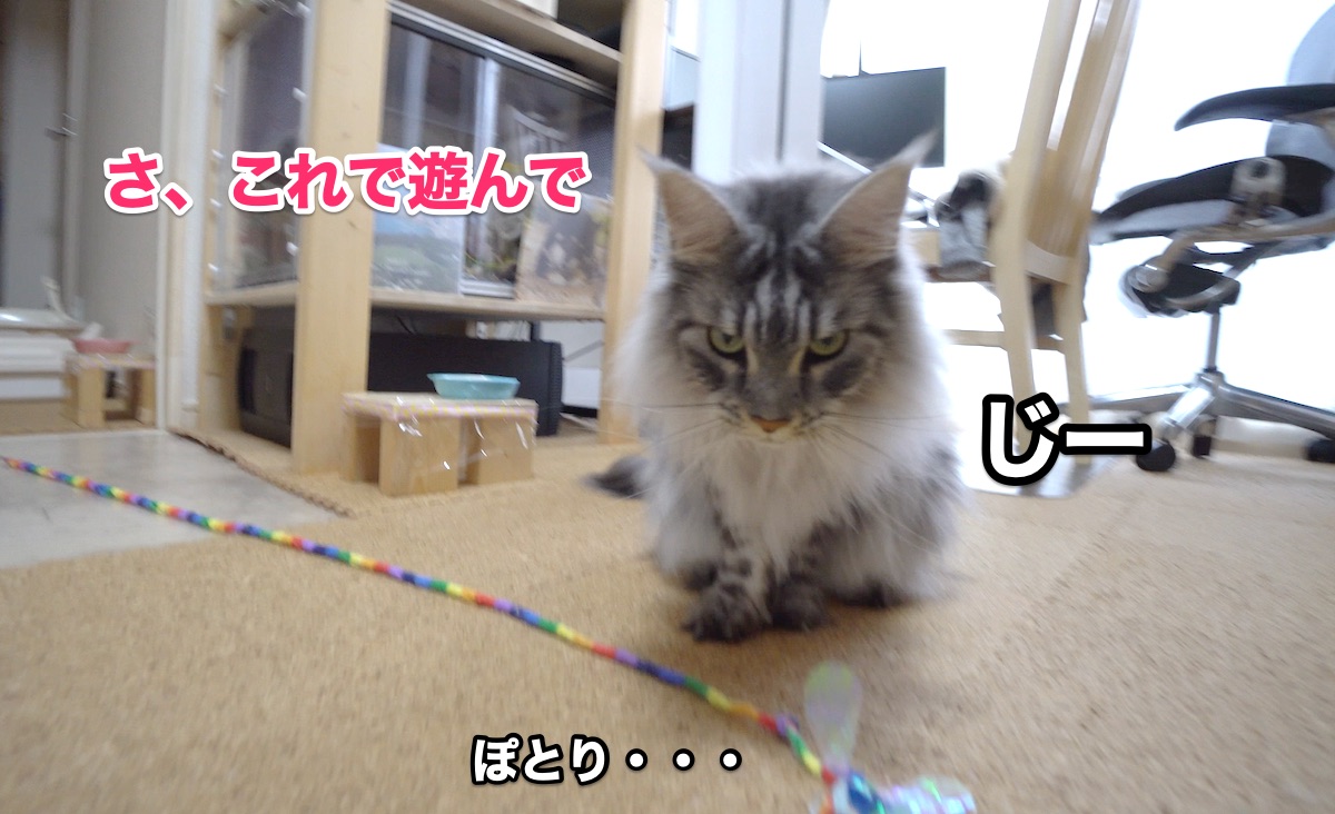 f:id:chikojirou:20200728200117j:plain f:id:chikojirou:20200728200117j:plain
