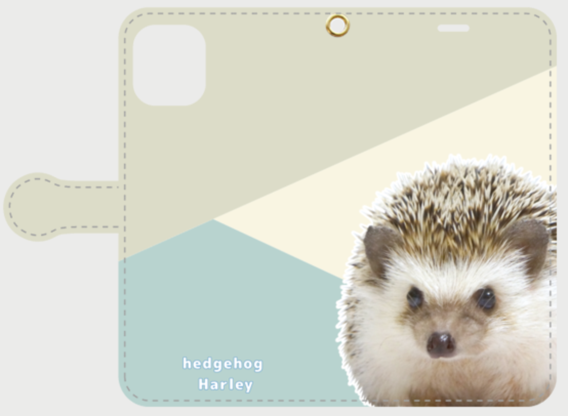 f:id:chikojirou:20200731121458p:plain