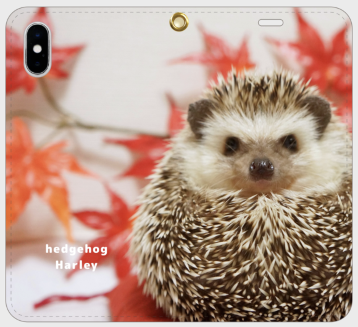 f:id:chikojirou:20200731121632p:plain