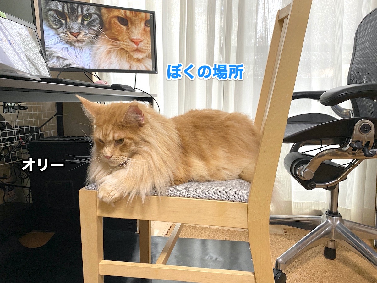 f:id:chikojirou:20200731202220j:plain