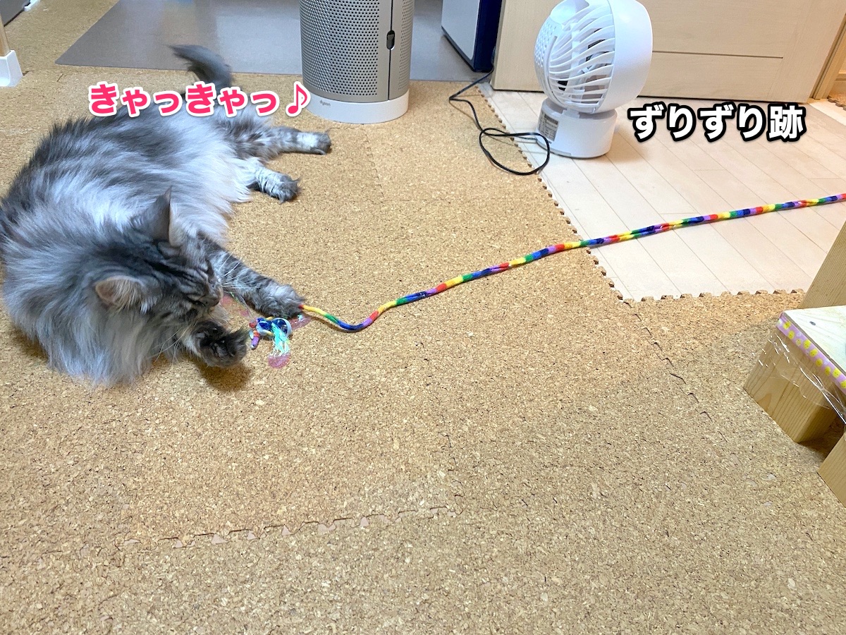 f:id:chikojirou:20200731202236j:plain
