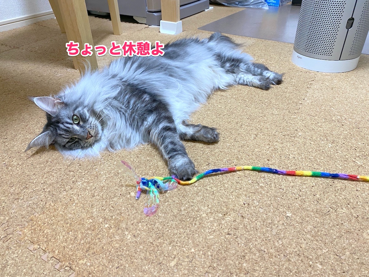 f:id:chikojirou:20200731202241j:plain