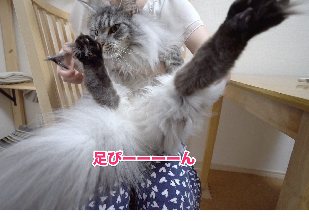 f:id:chikojirou:20200801205935j:plain