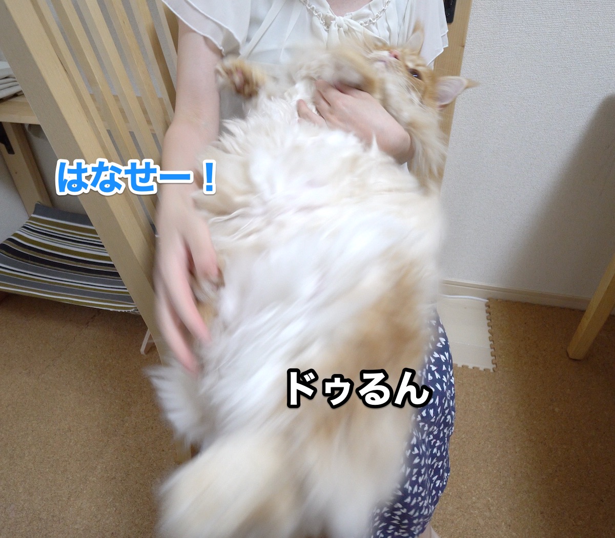 f:id:chikojirou:20200801205943j:plain