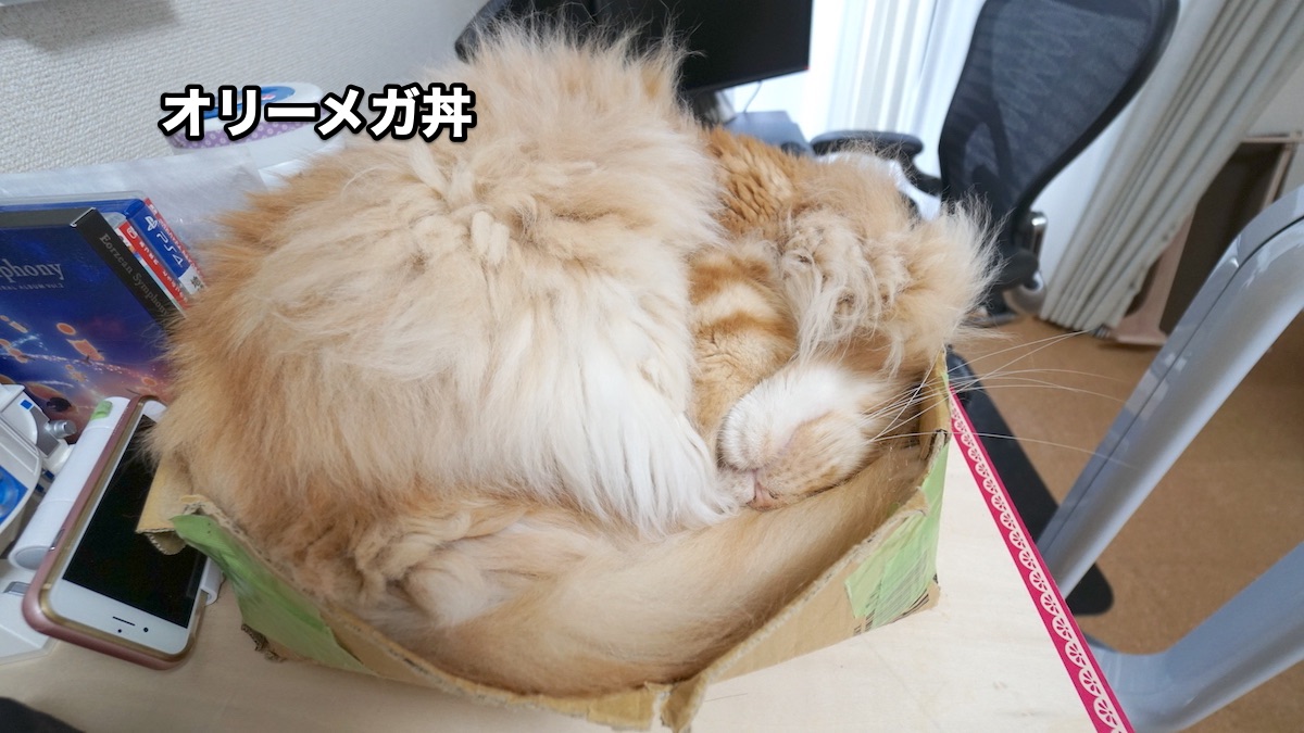 f:id:chikojirou:20200804204643j:plain