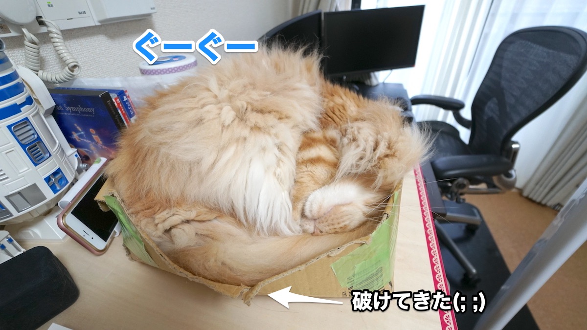 f:id:chikojirou:20200804204647j:plain