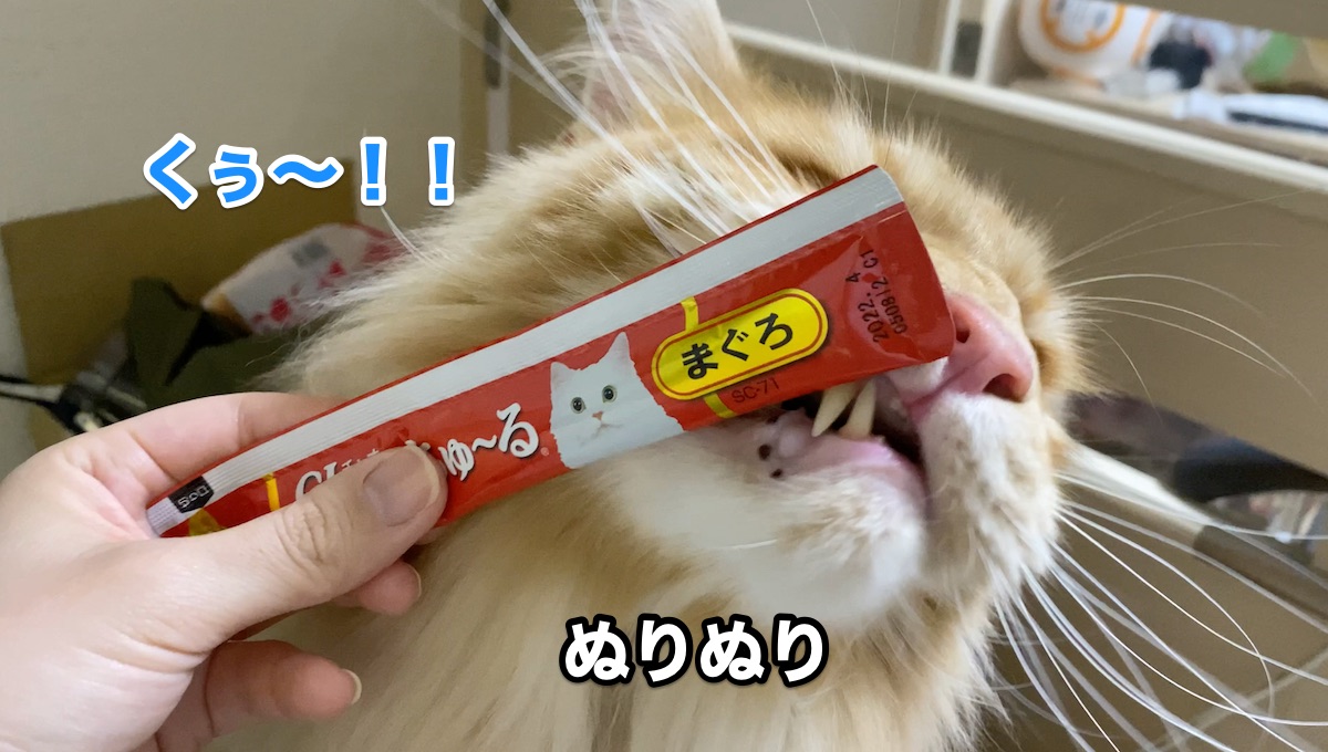 f:id:chikojirou:20200805205939j:plain