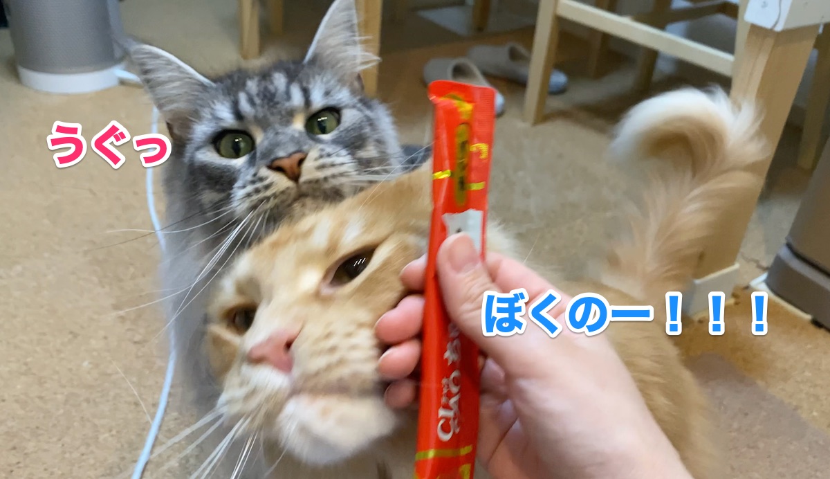 f:id:chikojirou:20200805205948j:plain