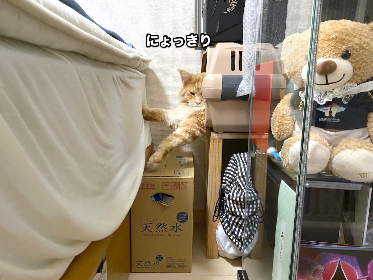 f:id:chikojirou:20200806201357j:plain