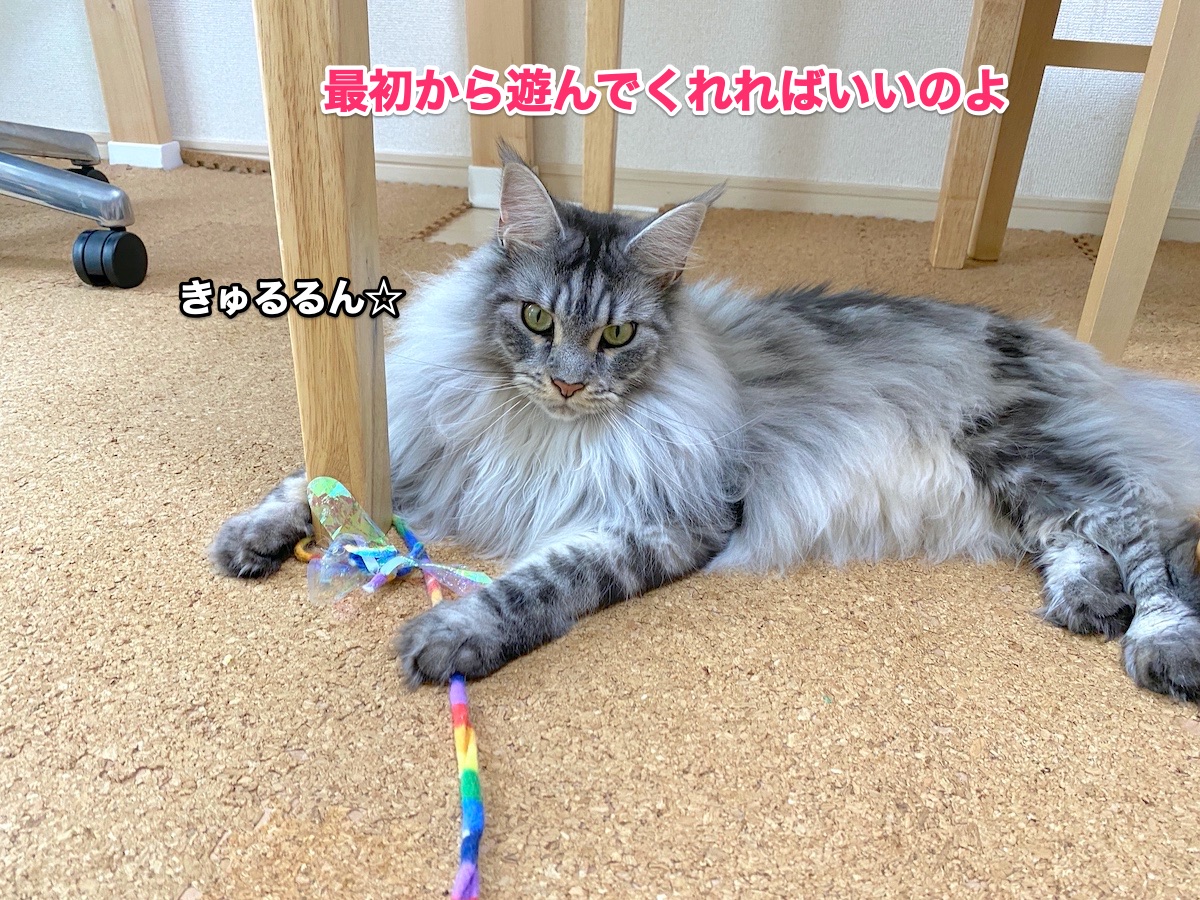 f:id:chikojirou:20200806201409j:plain