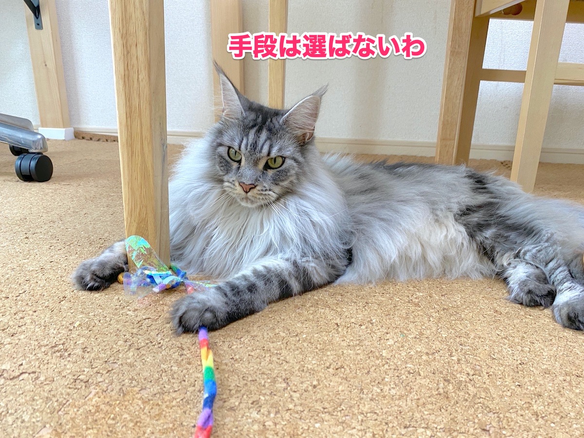 f:id:chikojirou:20200806201412j:plain